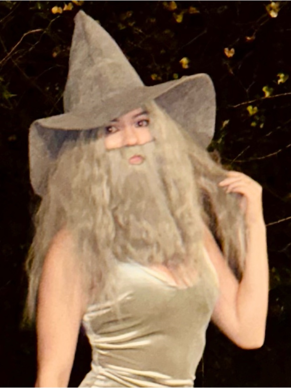 Grey wizard beard, wig, and hat
